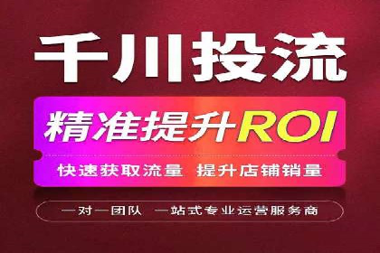 行业报告：专业SEM托管的成功实践与挑战